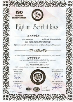 sertifika 7